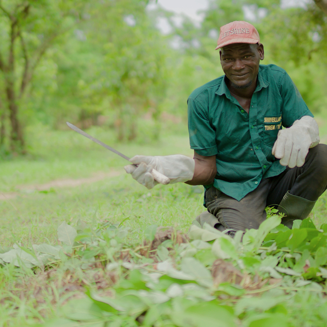 A man in a forest with tools helping to keep the forest productive.