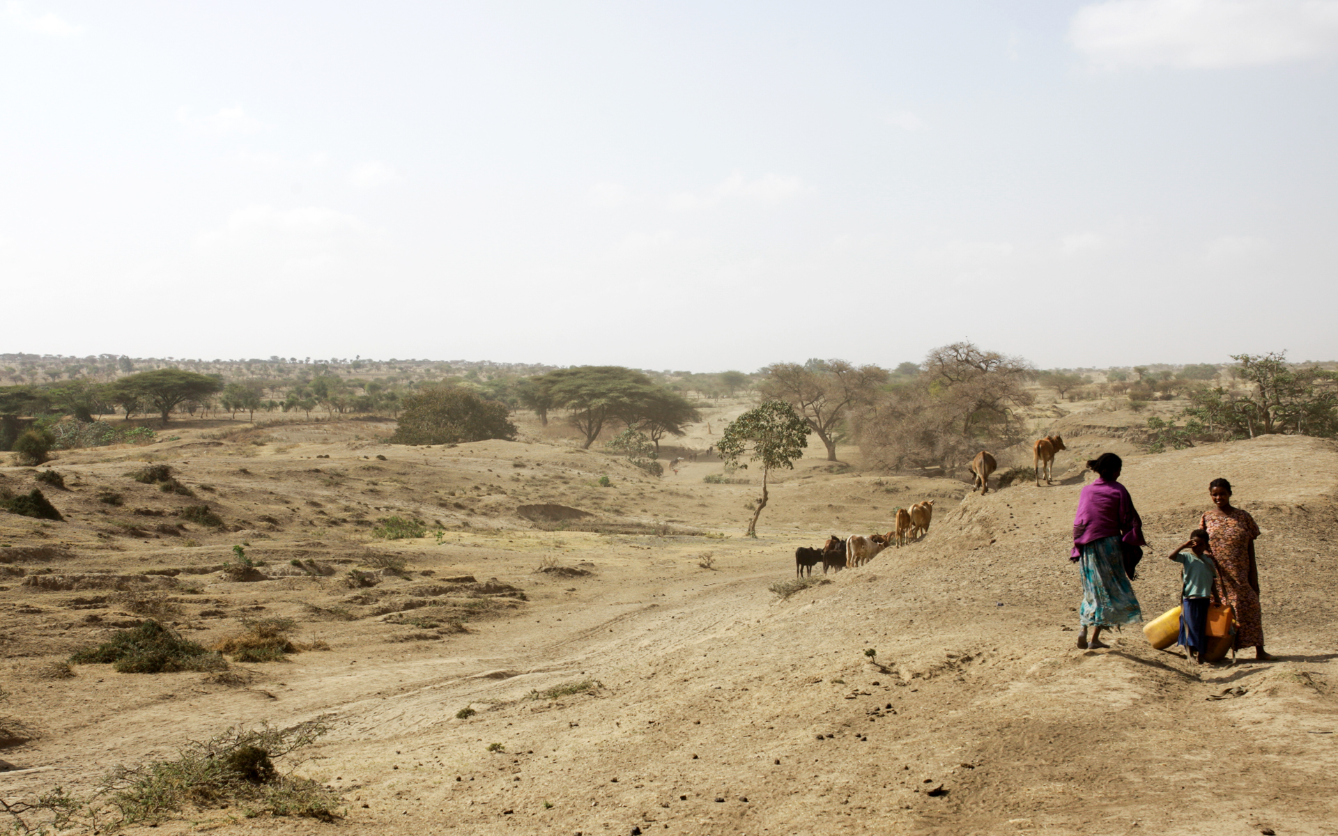 A dry and degraded landscape in the Dugda-Meki region of Ethiopia.
