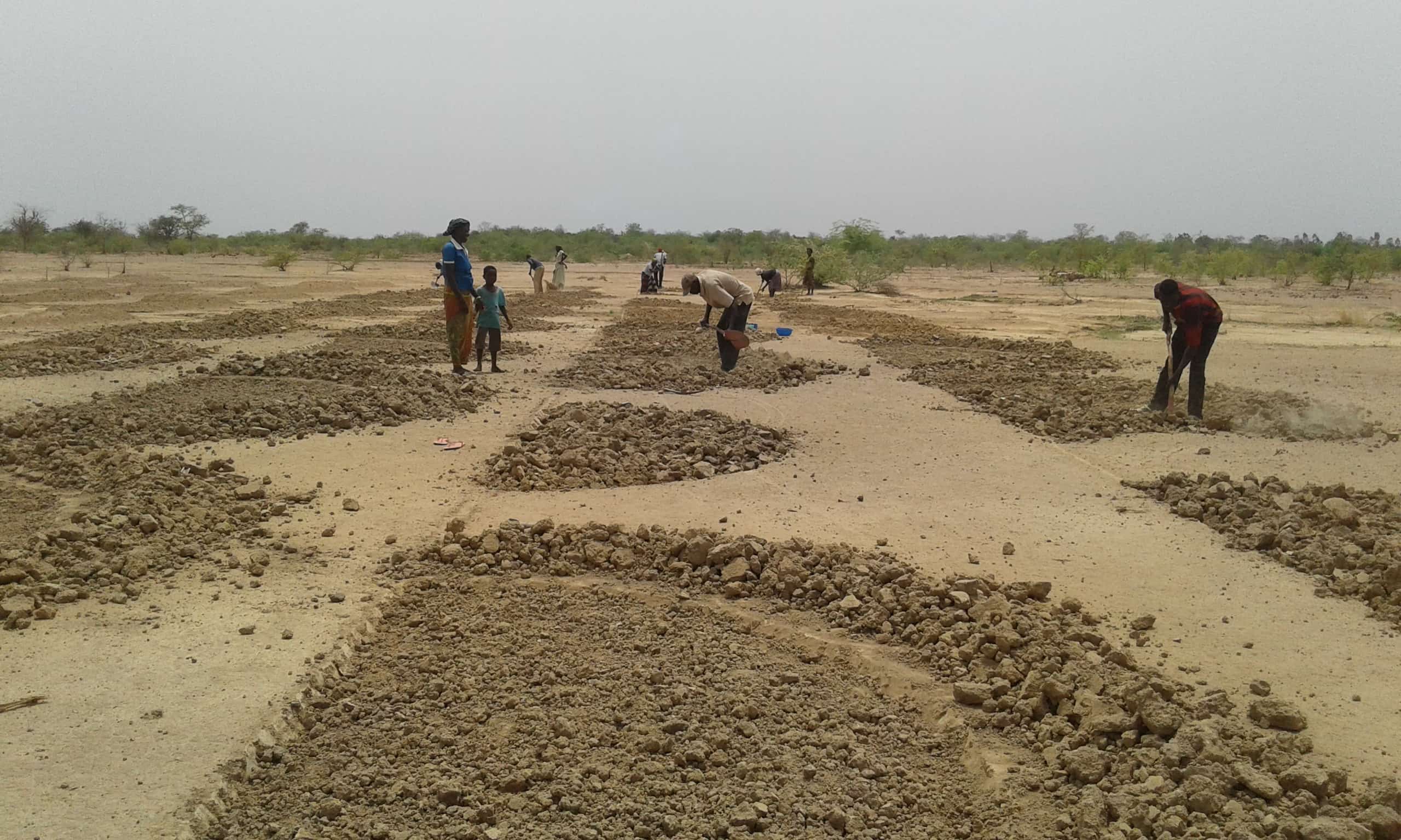 'Half-moons' dug into degraded soil in a community in Burkina Faso. This is a technique being used in Tree Aid's projects to conserve water and nutrients, protecting land from desertification.