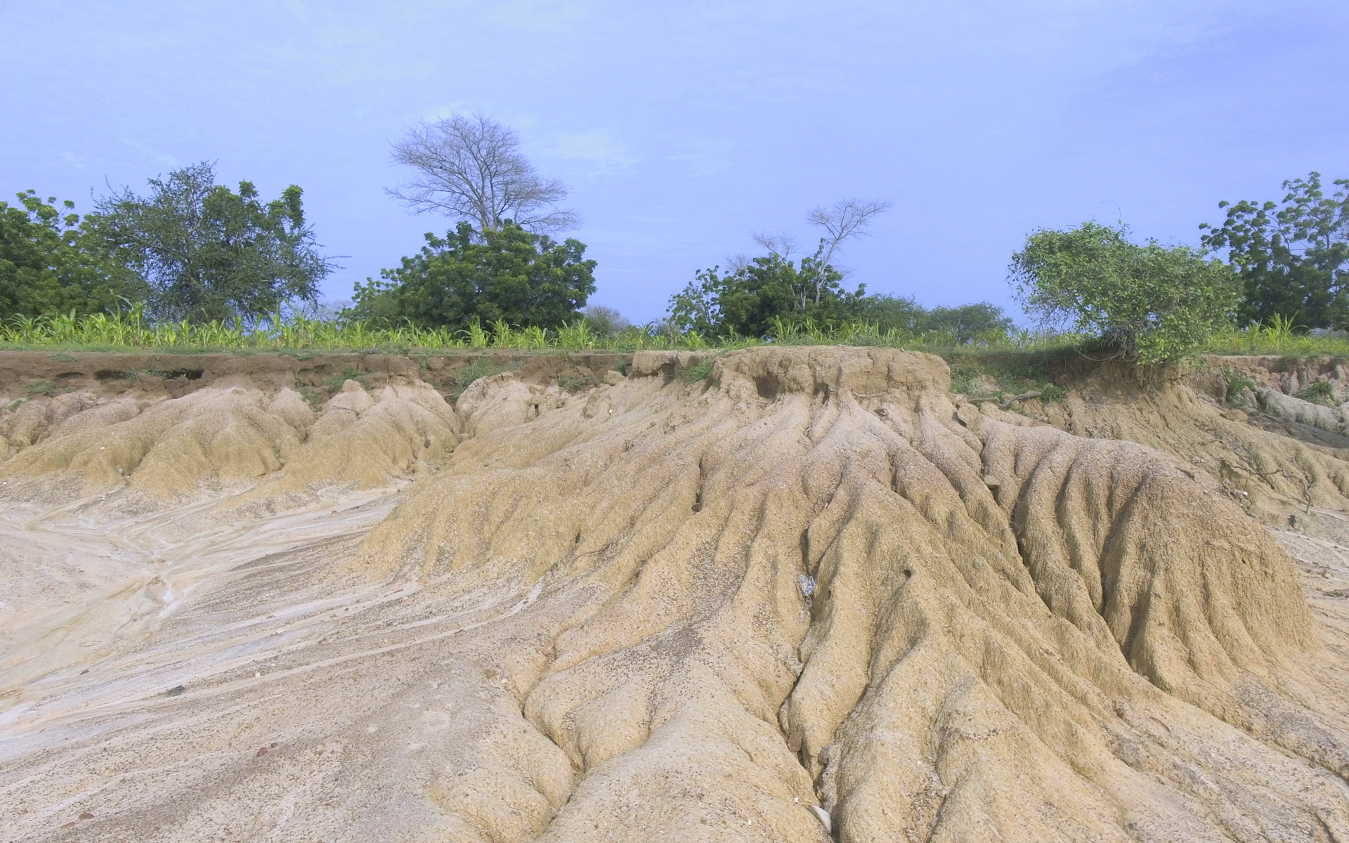 Arid landscape in the Bongo region of Ghana where the land has been degraded by desertification.