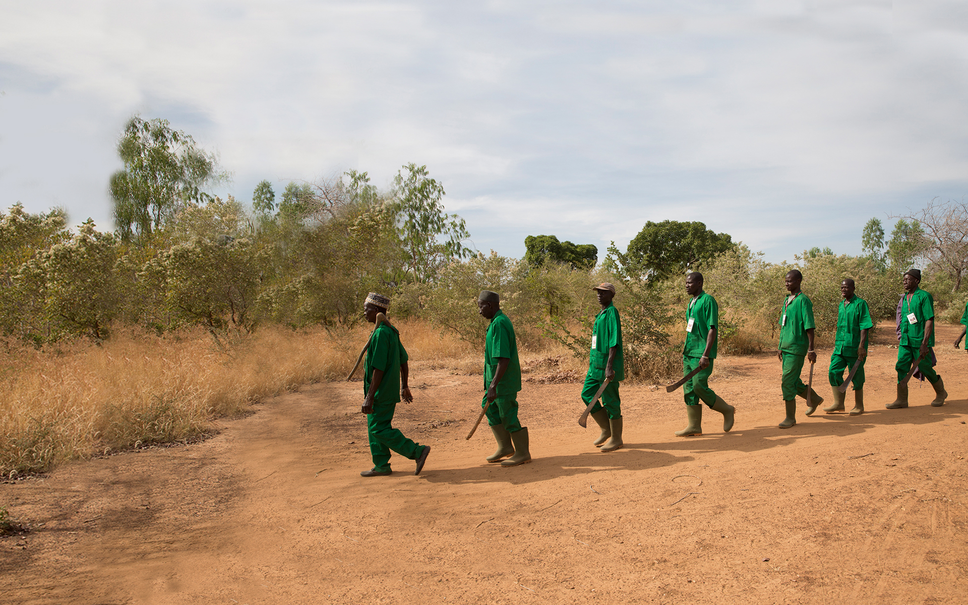 Forest guards walking in a line into the forest.