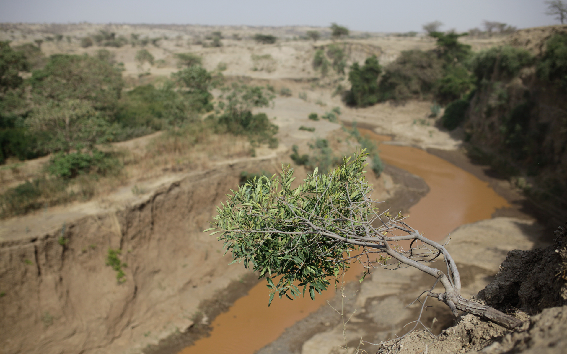 The Meki river in Ethiopia. 
