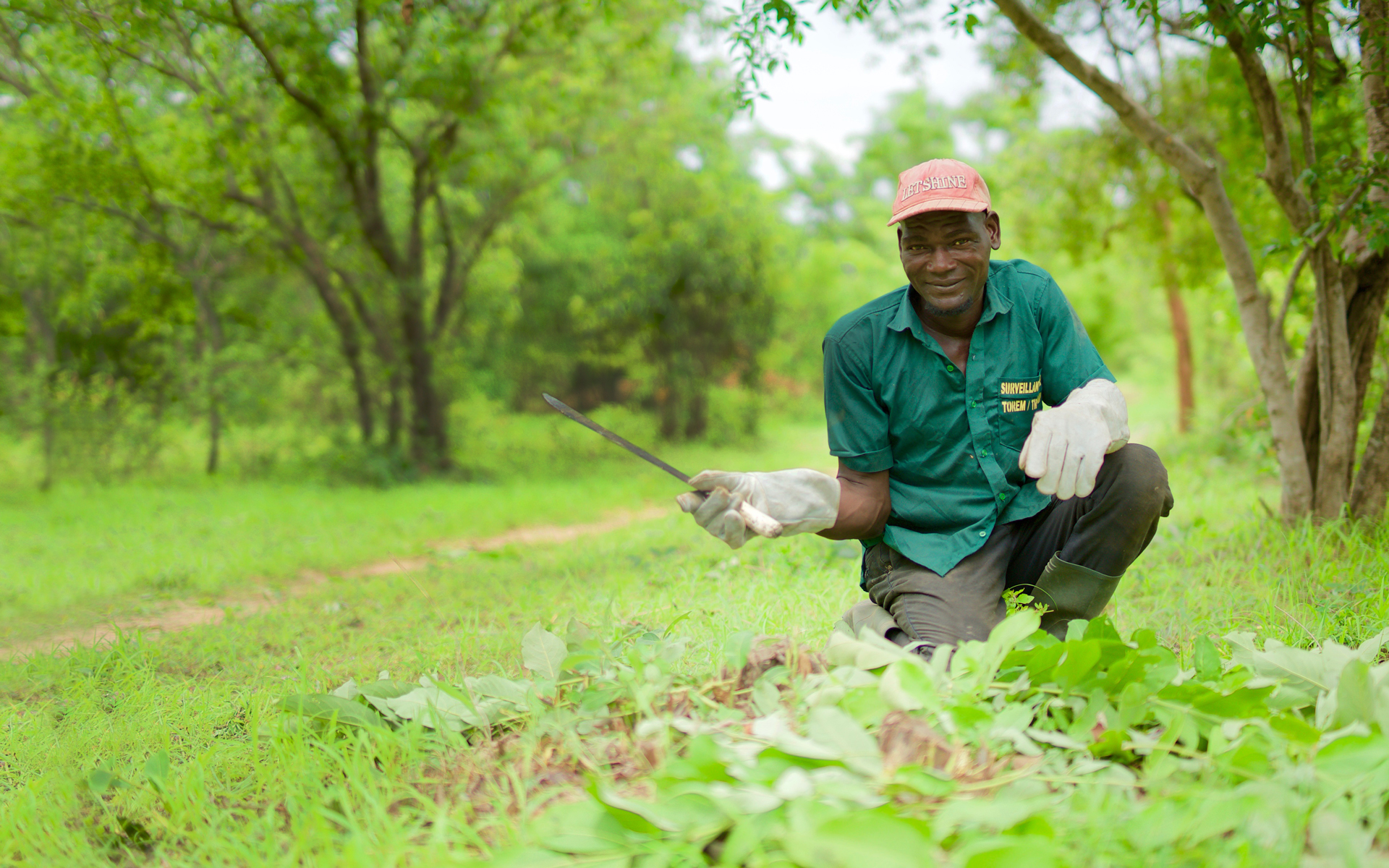 A man in a forest with tools helping to keep the forest productive.