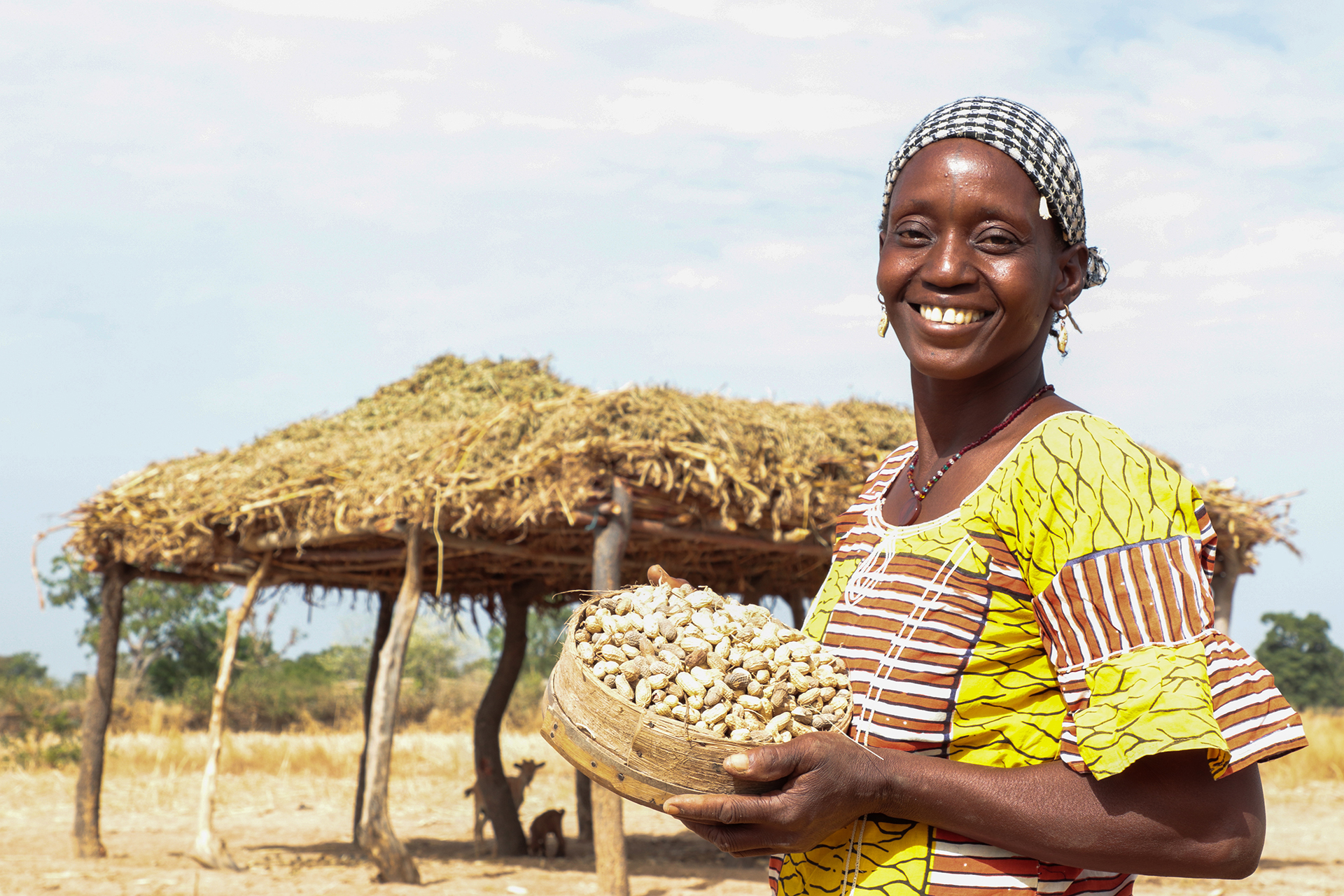 Djamako, a woman on Tree Aid's She Grows project, holding a bowl of peanuts that she farmed on her land.
