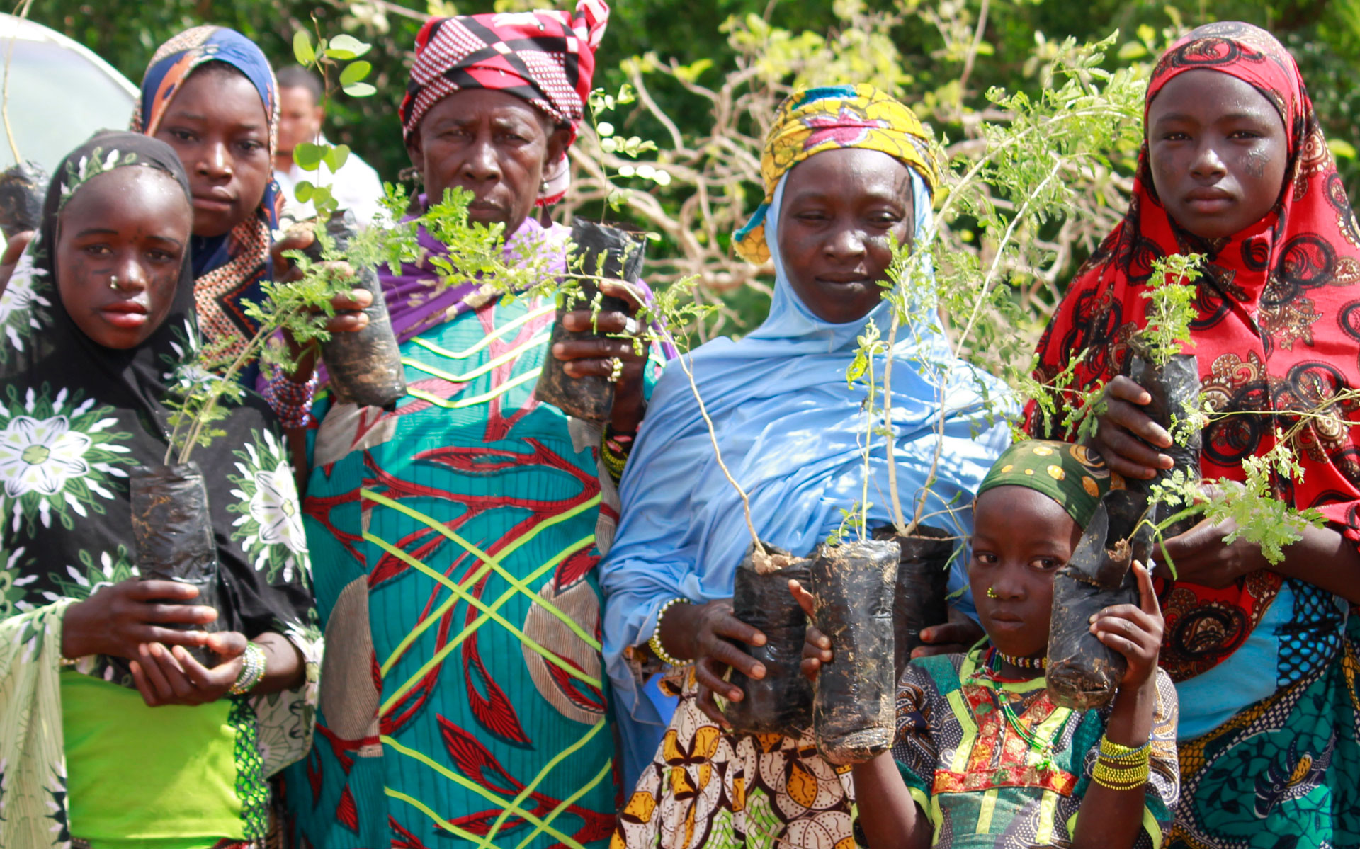 Women in Niger holding tree saplings.