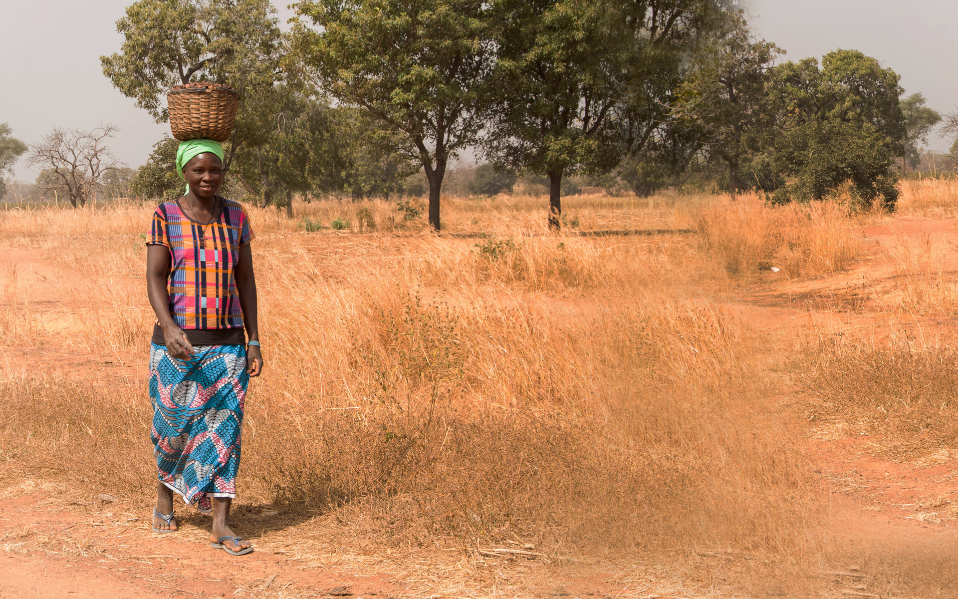 Sabine, a woman in Mali on Tree Aid's strengthening forest management project, walking through a degraded landscape with a bowl of shea nuts on her head.