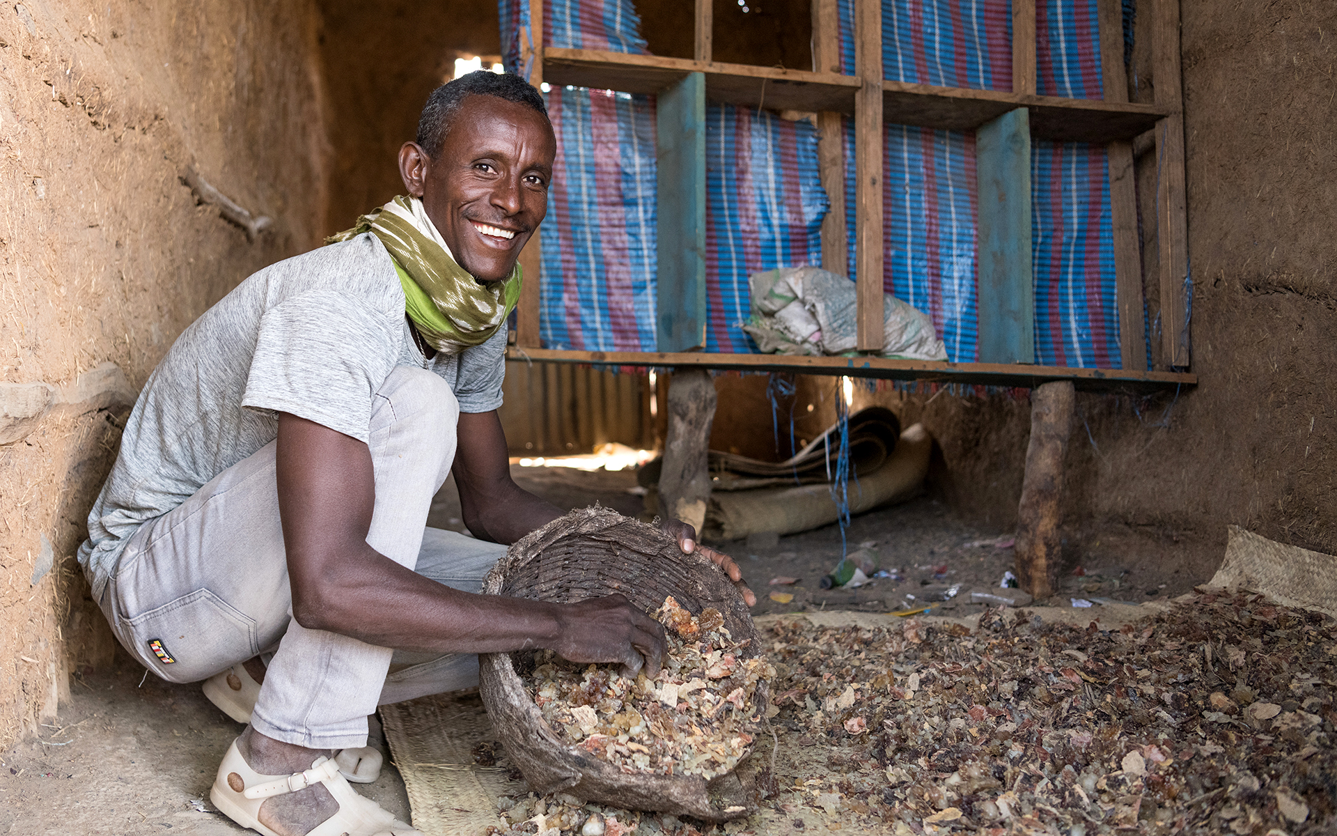 Solomon Sorting Through Tapped Frankincense In A Frankincense Store In His Village