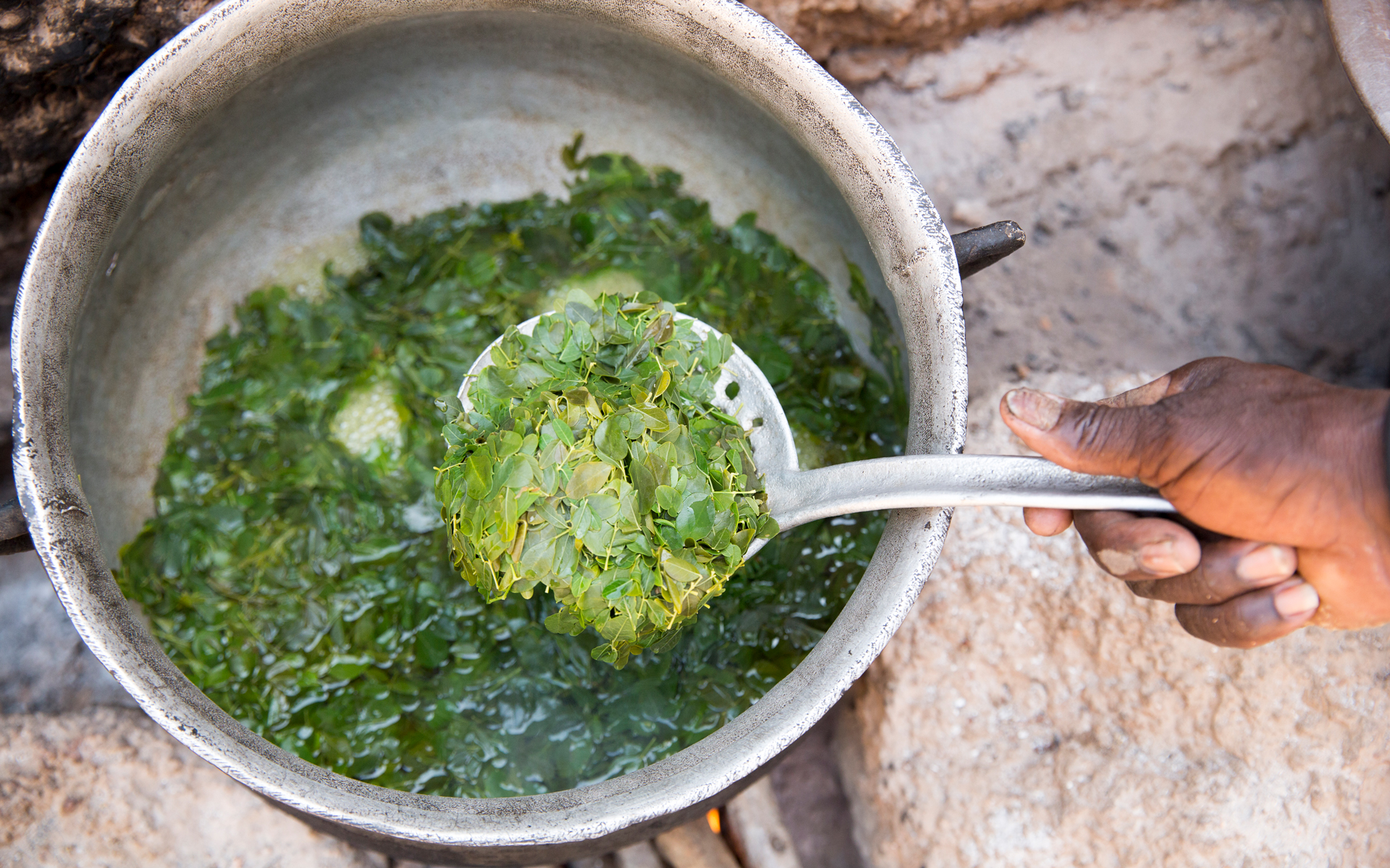 Close up of a pan with moringa leaves being cooked.