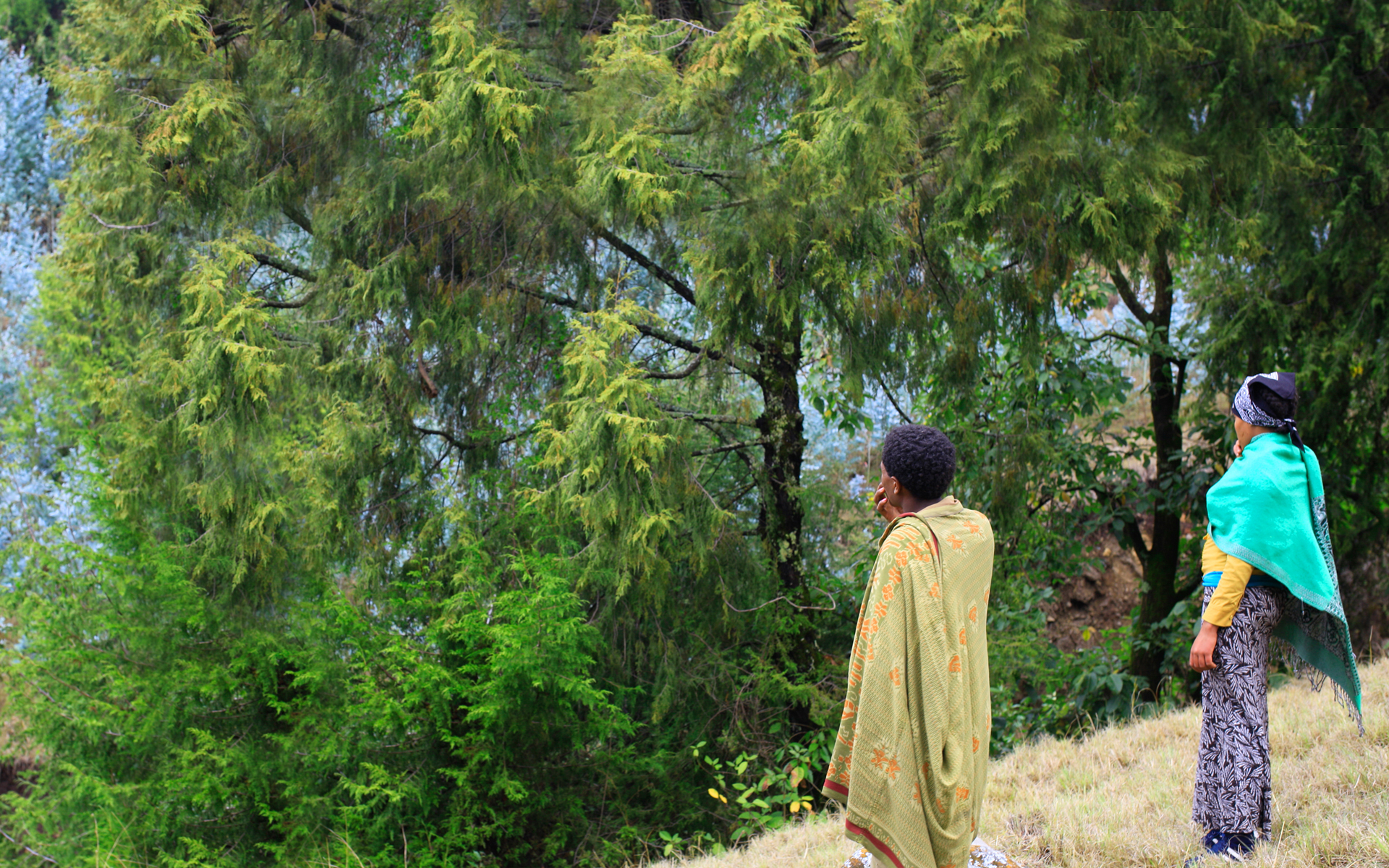 Two people standing at the edge of a cliff and looking out to the forest in Ethiopia.